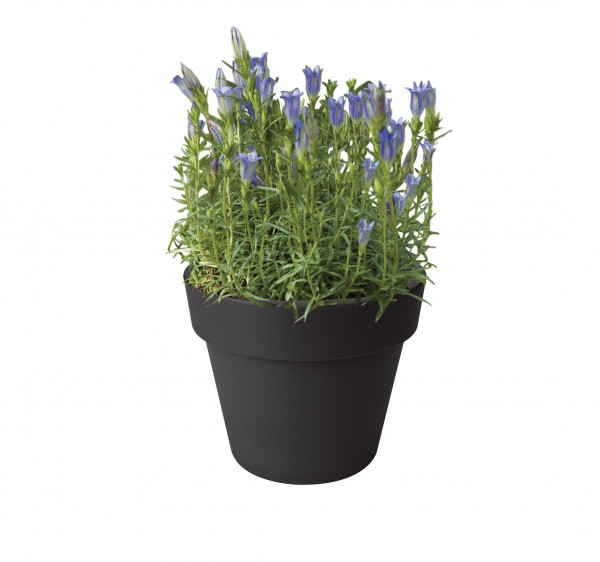 Pflanzgefäß / Pflanztopf Top Planter Green Basic Ø 40cm schwarz