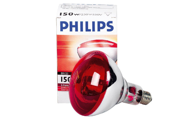 Philips Infrarotlampe für Tieraufzucht 250 W