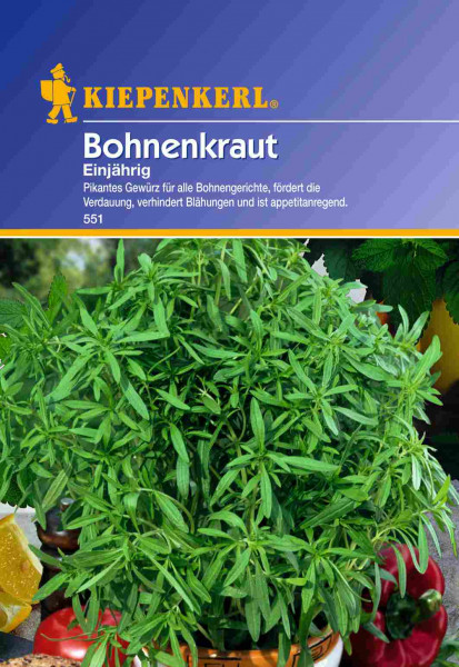 Saatgut Bohnenkraut-Saatgut Bohnenkraut, einjährig