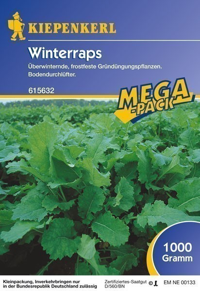 Gründünger-Saaten Winterraps, 1 kg Brassica napus