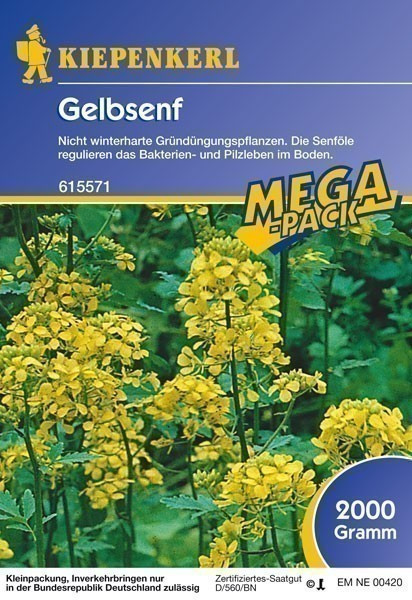 Gründünger-Saaten Gelbsenf, 2 kg Sinapsis alba