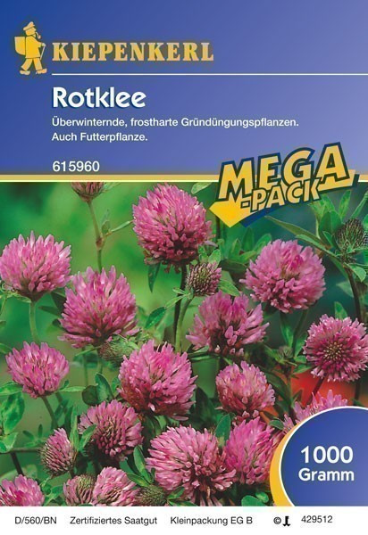 Gründünger-Saaten Rotklee 1 kg Trifolium pratense