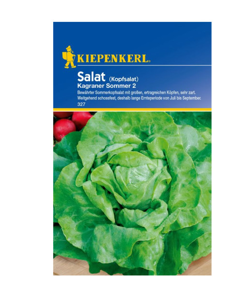 Kiepenkerl Saatgut Kopfsalat Kagraner Sommer 2