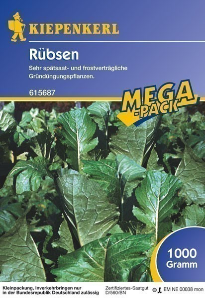 Gründünger-Saaten Rübsen, 1 kg