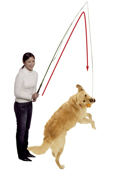 Reizangel / Spielangel Dog Dangler Gr. 49-165 cm Karlie