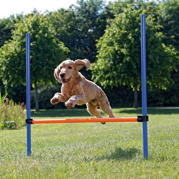 Agility Gerät Hürde TRIXIE 123 x 115 x Ø 3 cm