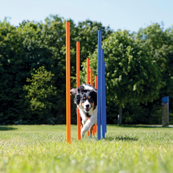 Agility Gerät Slalom-Stangen TRIXIE 115 x Ø 3 cm 12 Stück