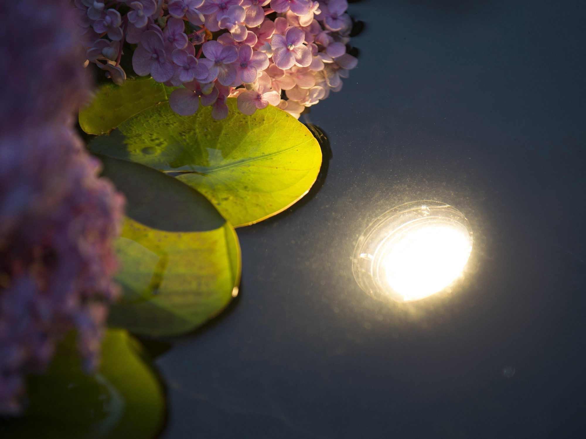 Unterwasserbeleuchtung / Teichbeleuchtung Ubbink Aqualight ...