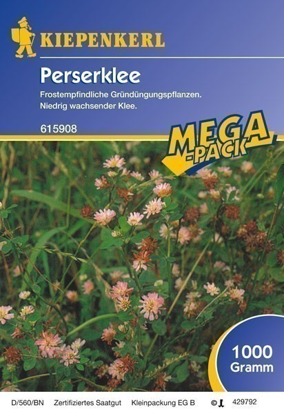 Gründünger-Saaten Perserklee, 1 kg Trifolium resupinatum