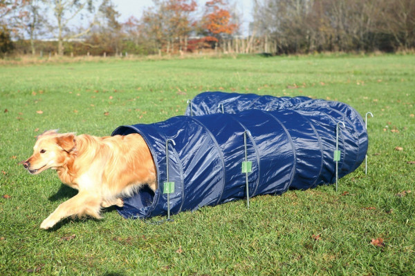 Agility Gerät Tunnel Basic TRIXIE Ø 60 cm