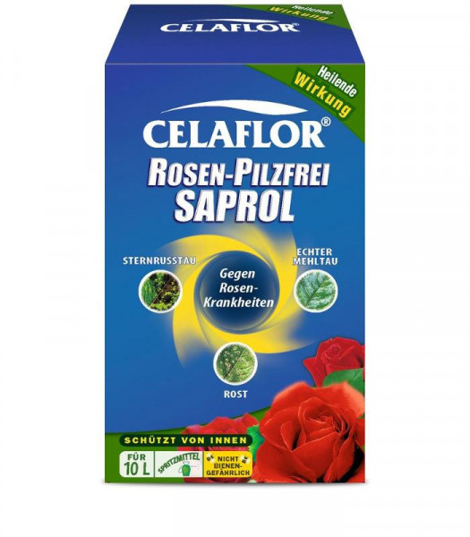 Rosen-Pilzfrei Saprol Konzentrat 100 ml