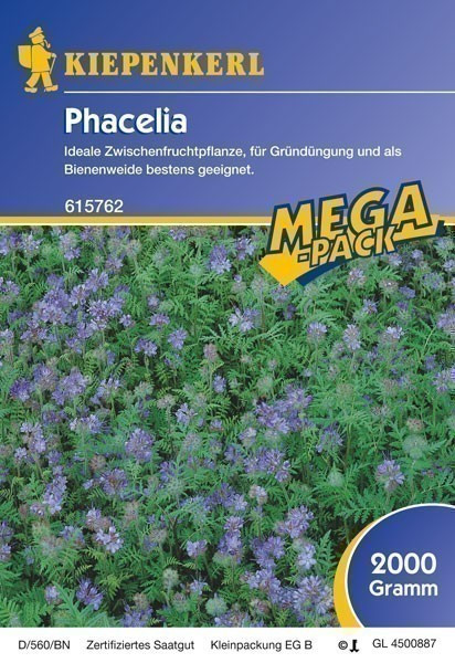 Gründünger-Saaten Phacelia, 2 kg Phacelia tanacetifolia