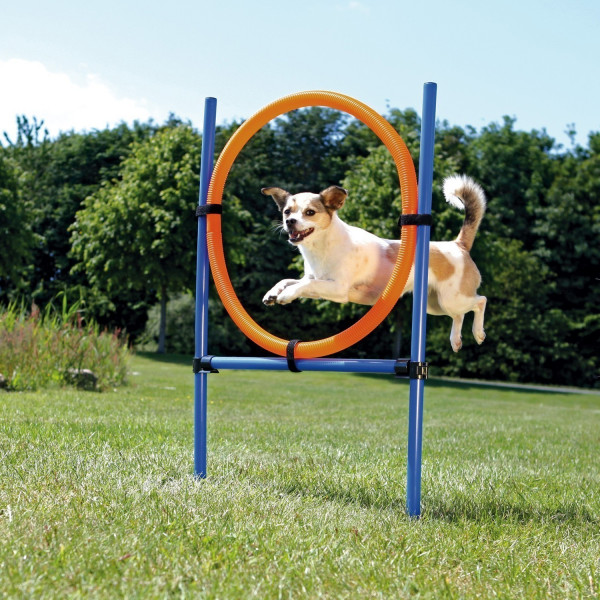 Agility Gerät Ring TRIXIE 115 x Ø 65 cm