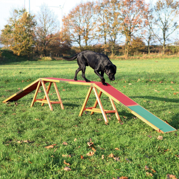 Agility Gerät Steg TRIXIE 456 x 64 x 30 cm