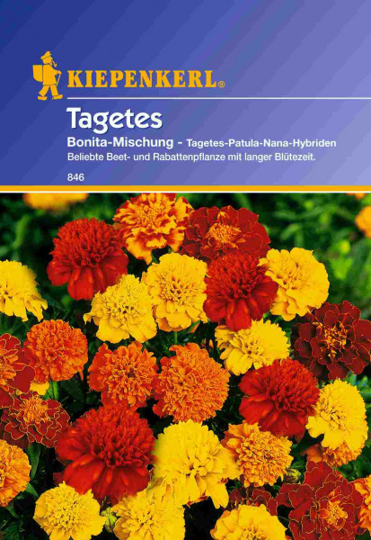 Saatgut Tagetes Bonita-Mischung