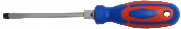 Schraubendr. 5,5x100mm 2K Gr. SB